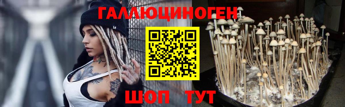 Псилоцибиновые грибы мухоморы Ковров